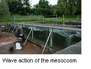 Wave action of the University of Konstanz mesocosm. Eva Lages records allis shad behaviour by means of a laptop. Photograph. P. Beeck