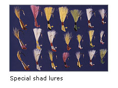 Special shad lures