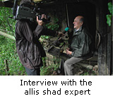 Interview with the allis shad expert