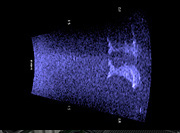 Afbeelding: Elft in de Didson-sonar