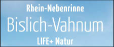 Projekt  Rhein-Nebenrinne Bislich-Vahnum