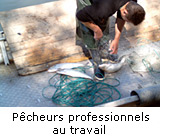 Pêcheurs professionnels au travail