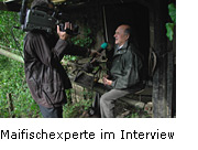 Maifischexperte im Interview