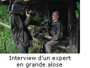 Interview d'un expert en grande alose