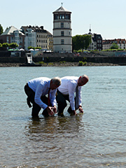Die Umweltminister lassen die Maifische frei.  Foto: H. Schulze-Wiehenbrauck