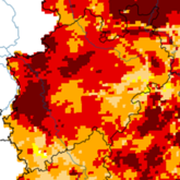 Vergleich Bodenfeuchte zum Ende des Dürrejahres 2018, Anfang März 2019
